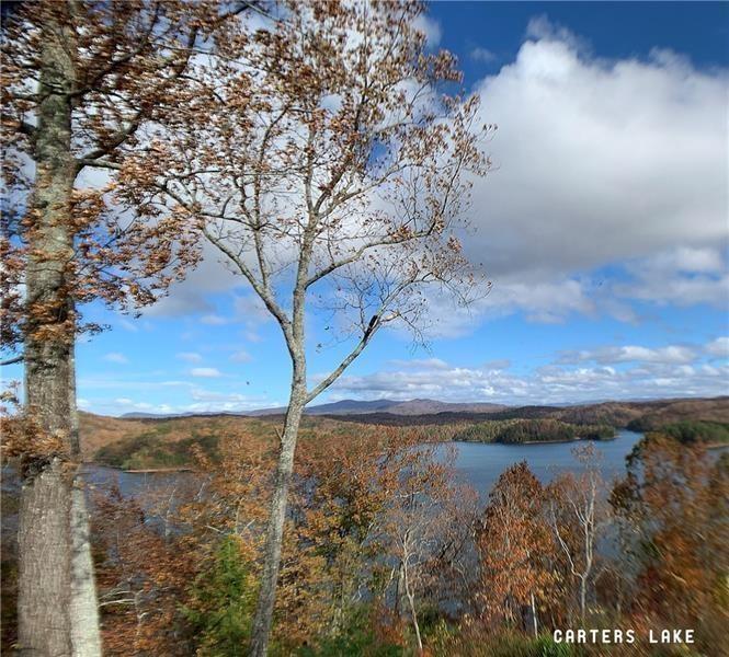 1025 Raccoon Ridge Road