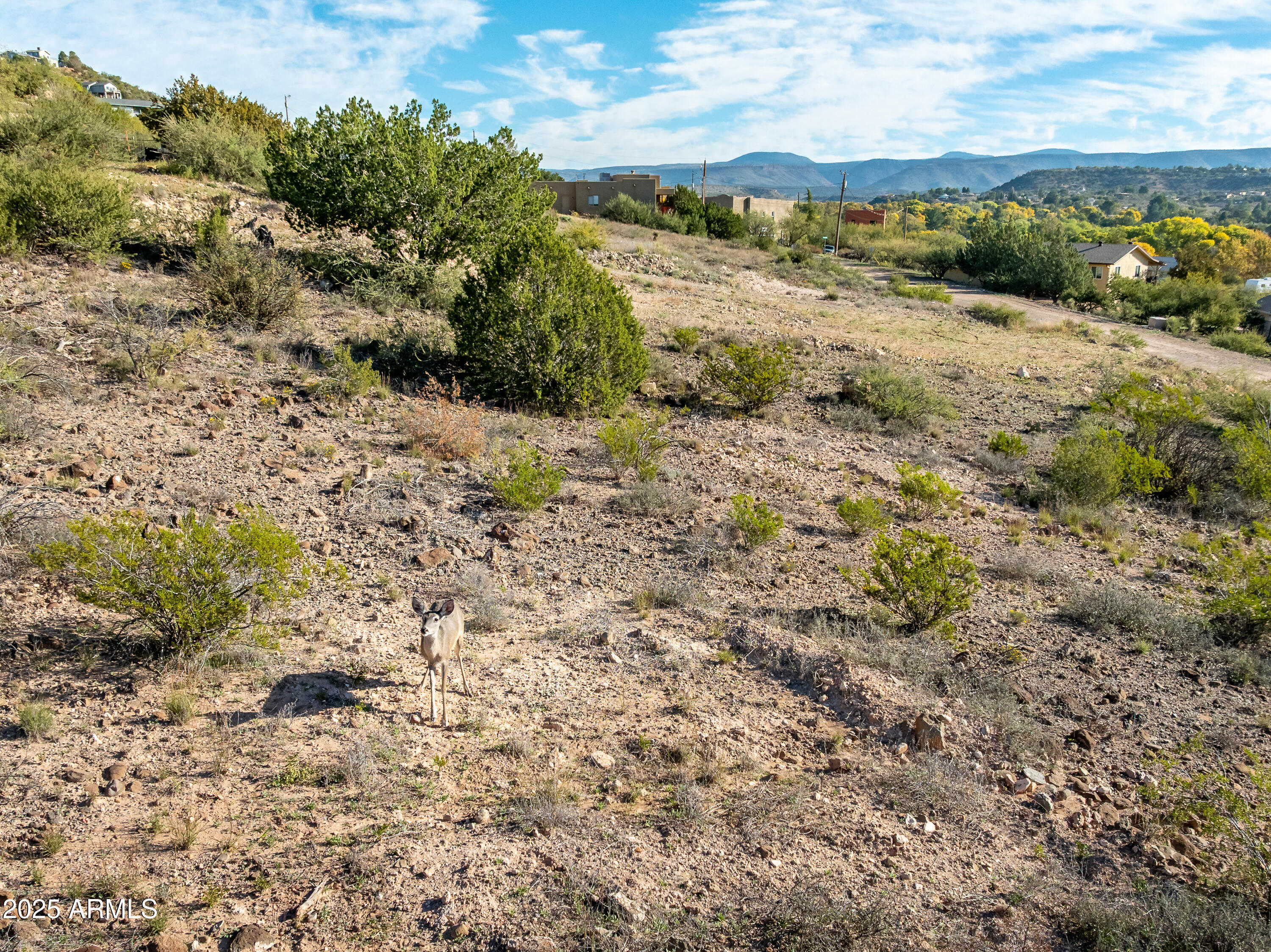 3455 E RUSTY SPURS Road, 63