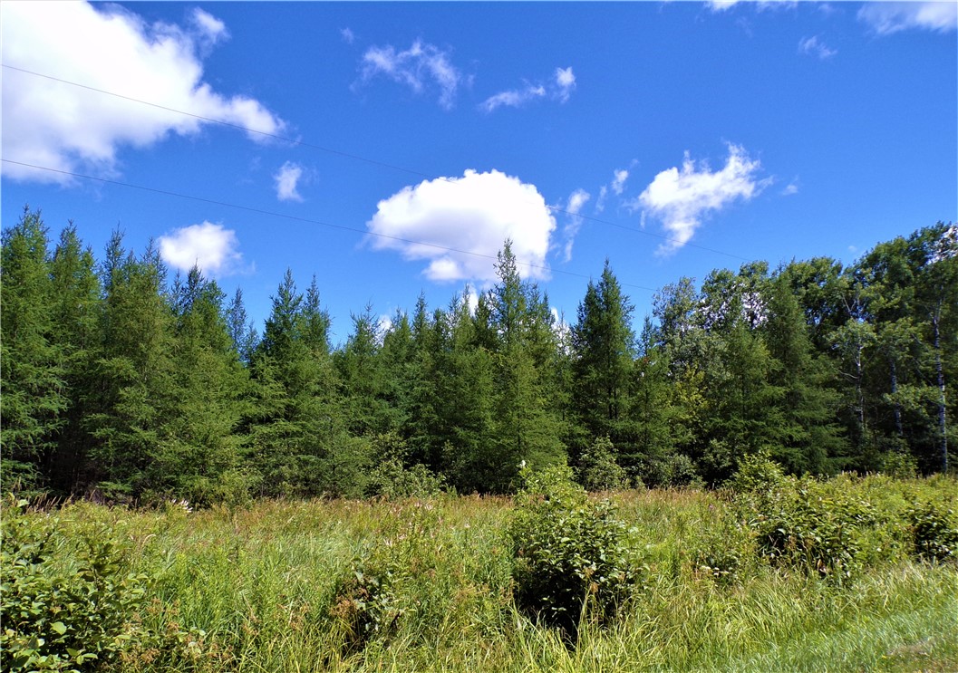 36.97 Acres Sunfish Lake Road