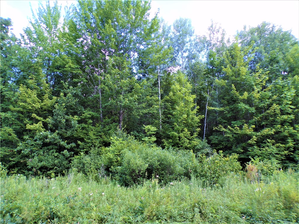 36.97 Acres Sunfish Lake Road