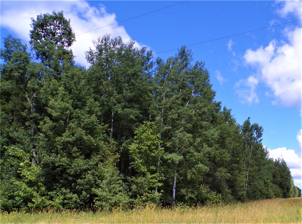 36.97 Acres Sunfish Lake Road
