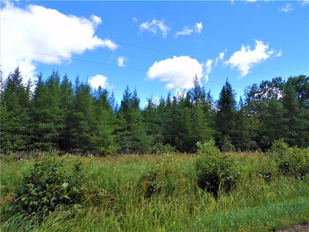 36.97 Acres Sunfish Lake Road