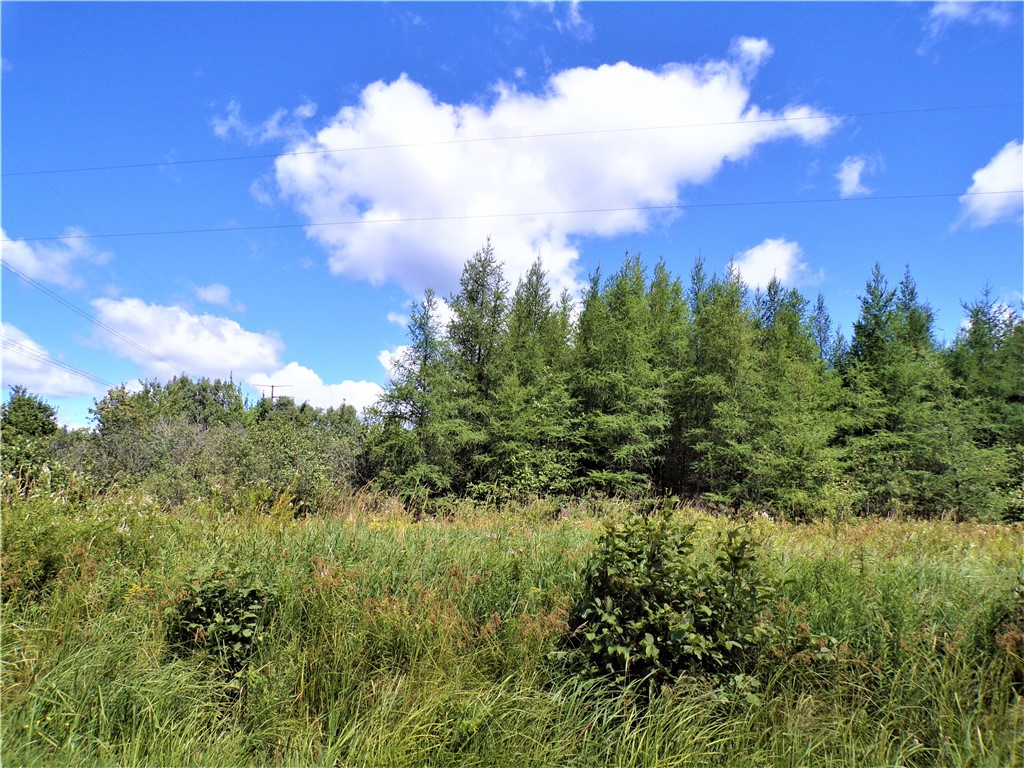 36.97 Acres Sunfish Lake Road