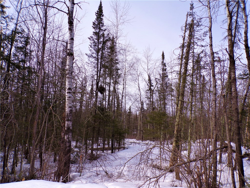 5.14 Acres on Cross Road