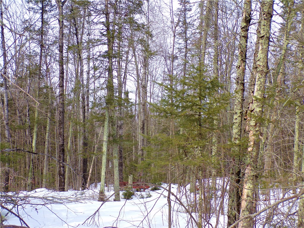 5.14 Acres on Cross Road