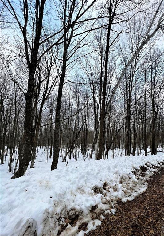 8.6 Acres on Round Lake Rd