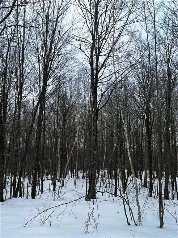 8.6 Acres on Round Lake Rd