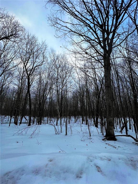8.6 Acres on Round Lake Rd