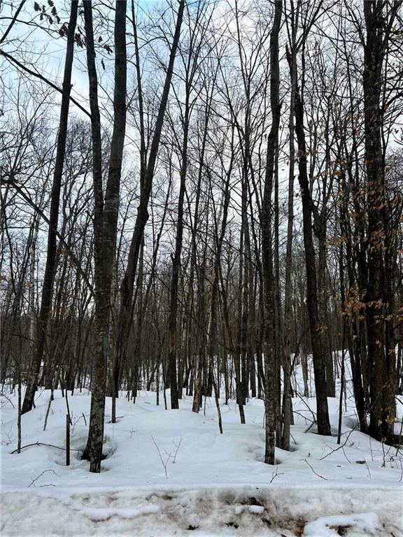 8.6 Acres on Round Lake Rd