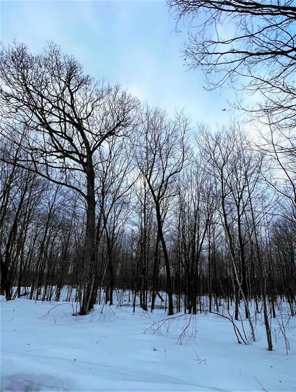 8.6 Acres on Round Lake Rd