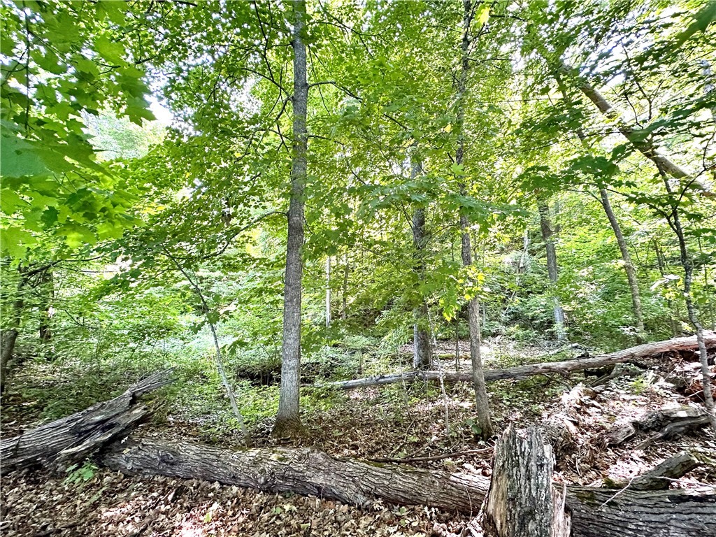 40 Acres. CTH D