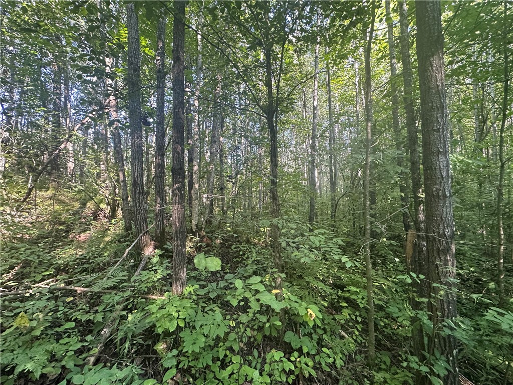 40 Acres. CTH D