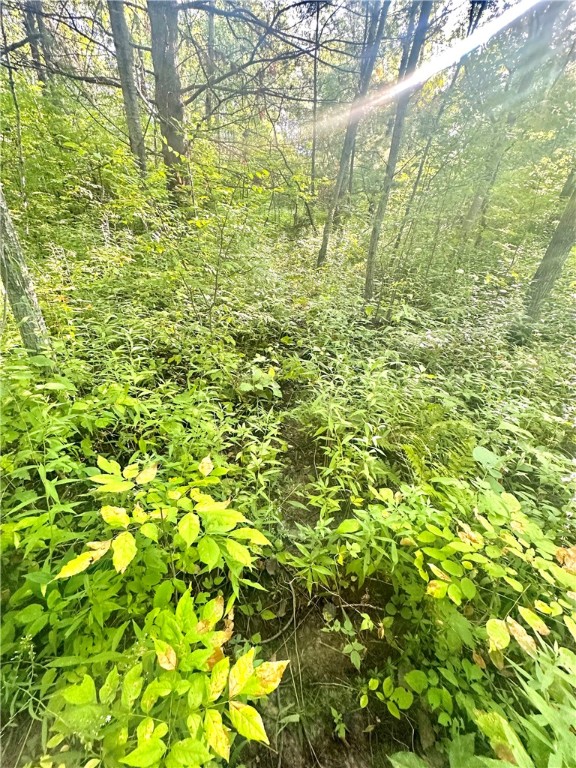 40 Acres. CTH D