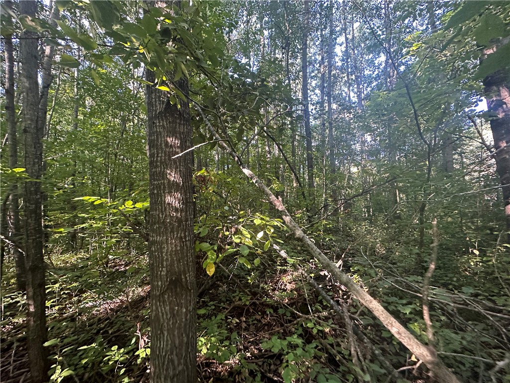 40 Acres. CTH D