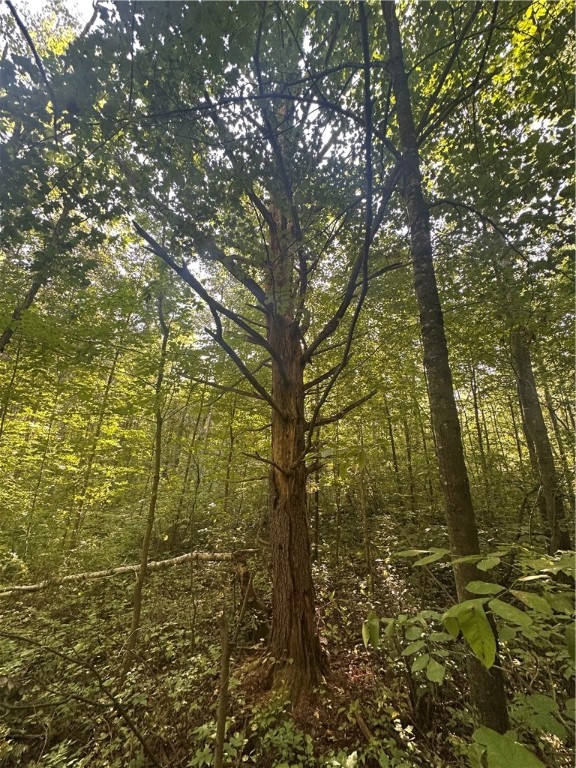 40 Acres. CTH D