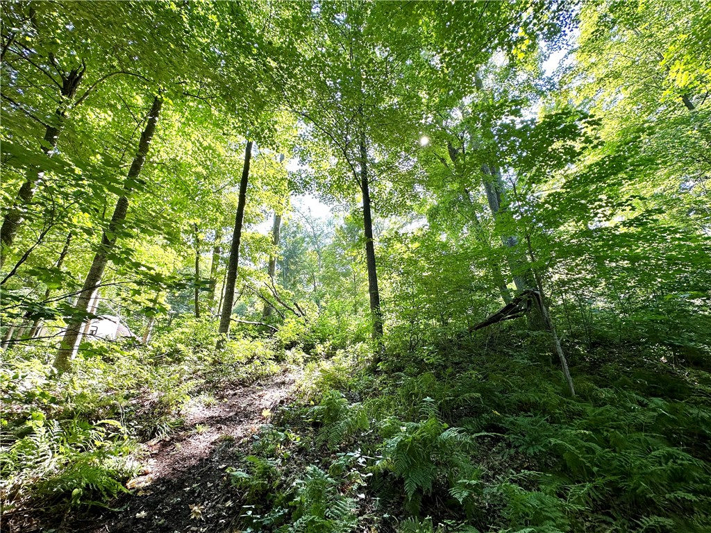 40 Acres. CTH D