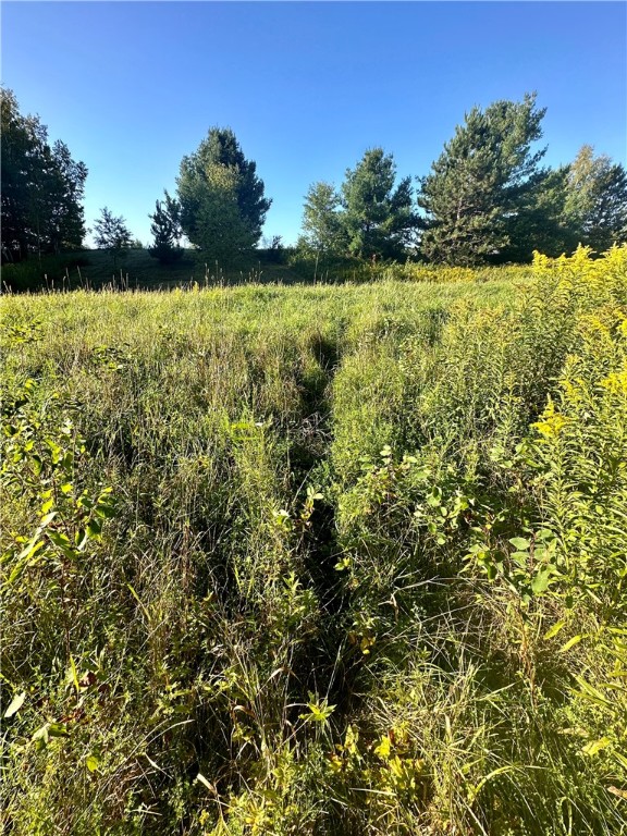 40 Acres. CTH D