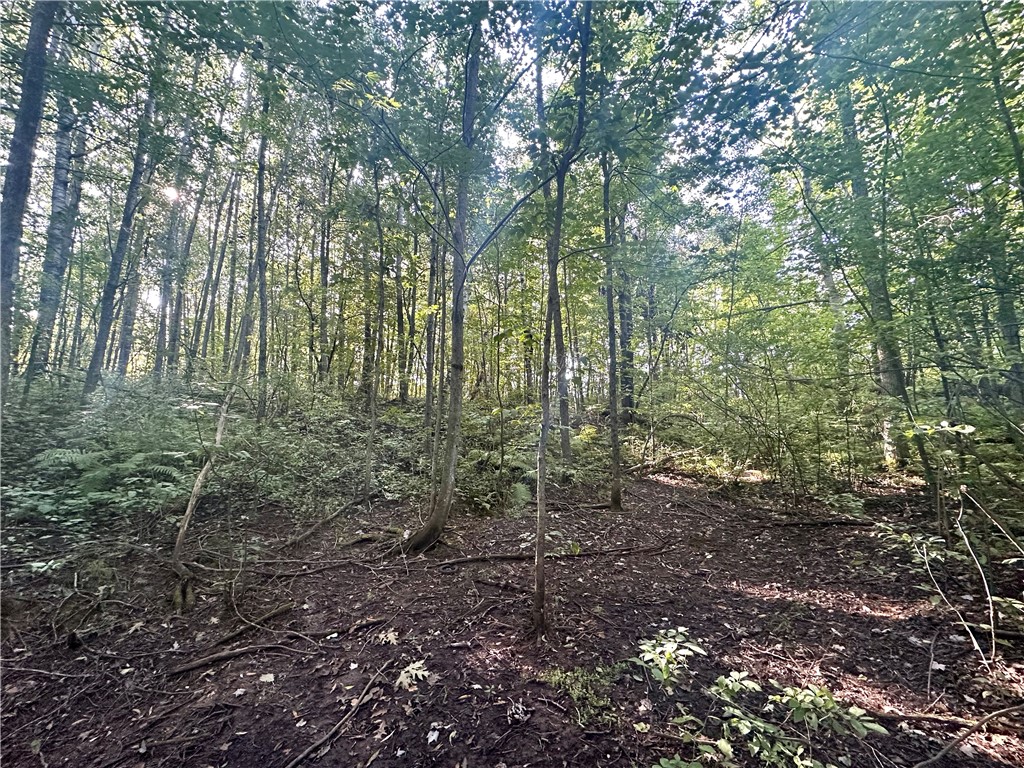 40 Acres. CTH D