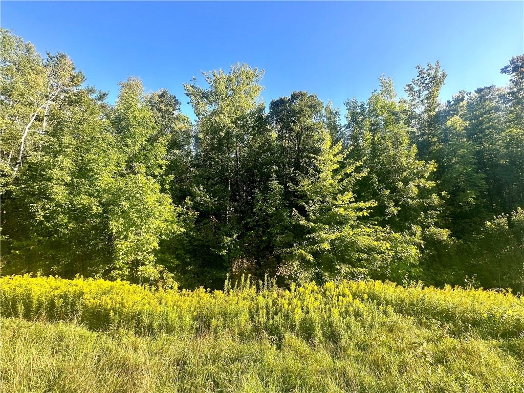 40 Acres. CTH D