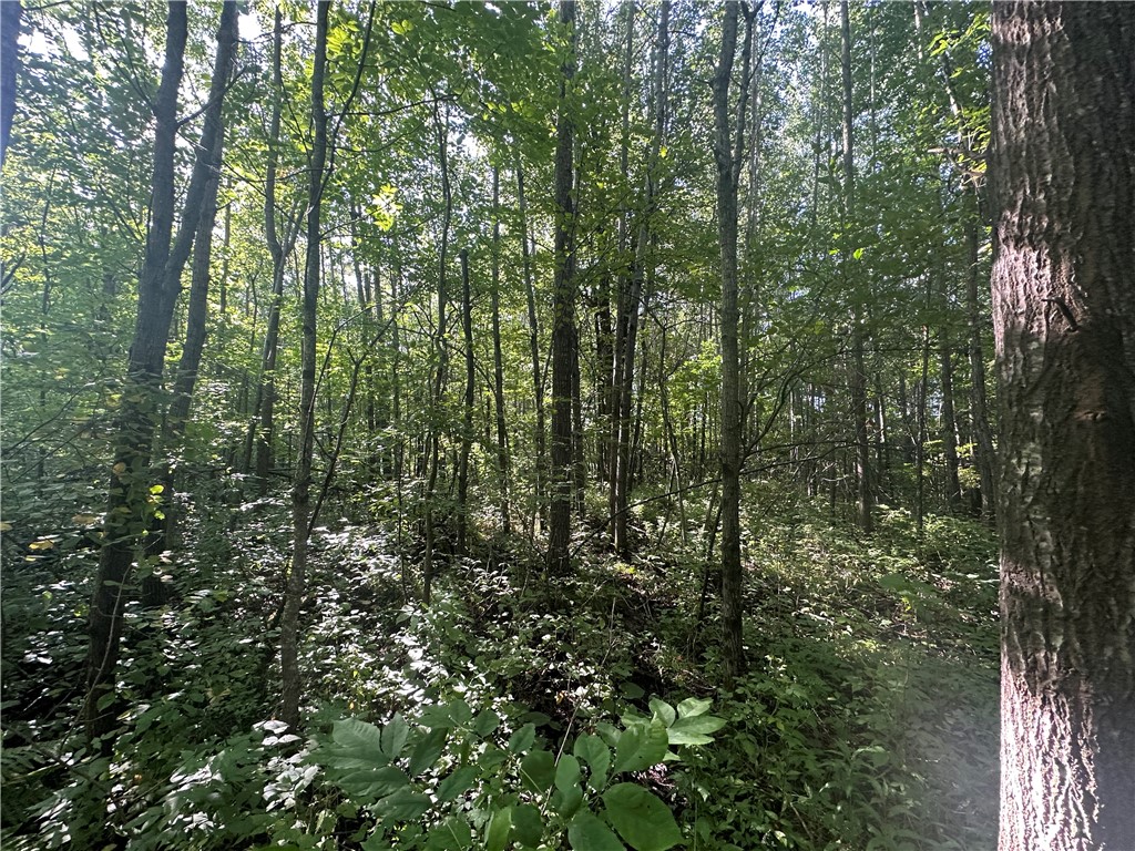 40 Acres. CTH D