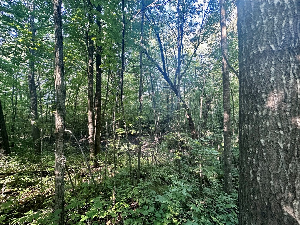 40 Acres. CTH D
