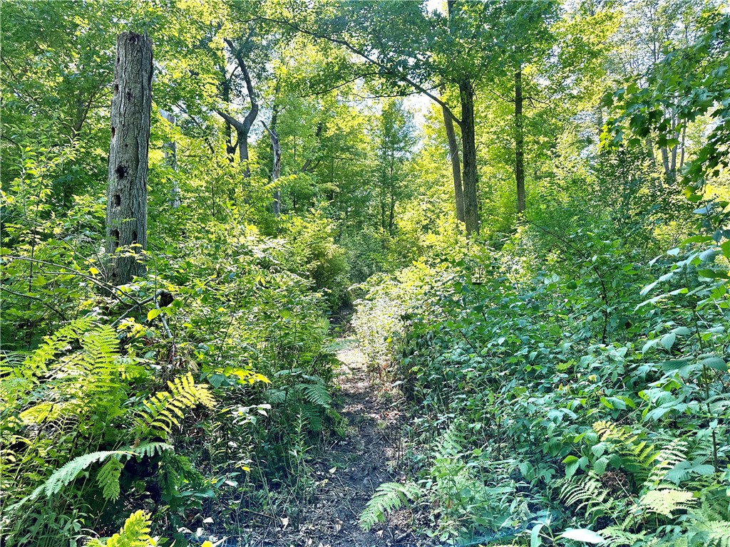 40 Acres. CTH D