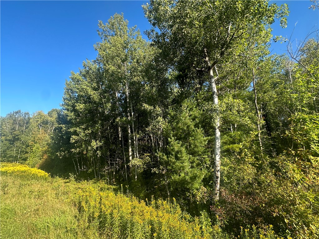 40 Acres. CTH D