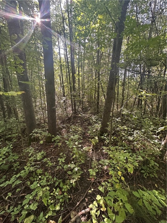 40 Acres. CTH D