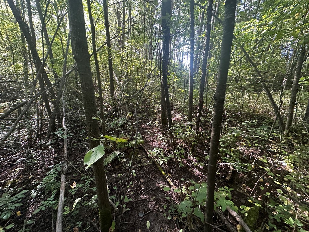 40 Acres. CTH D