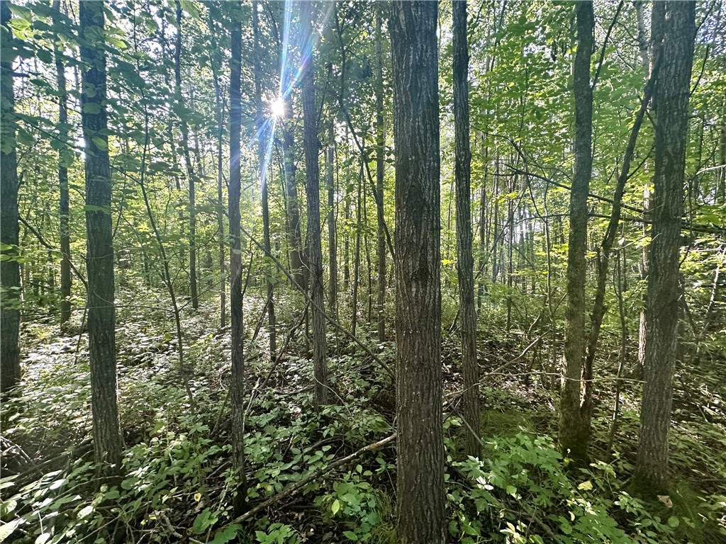 40 Acres. CTH D