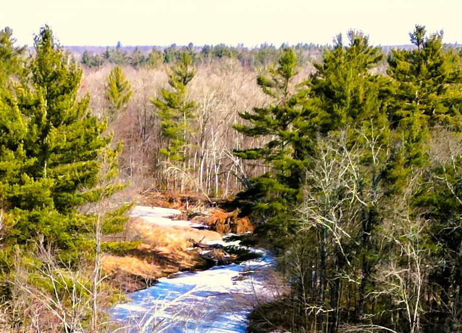 N5402 Thornapple Road