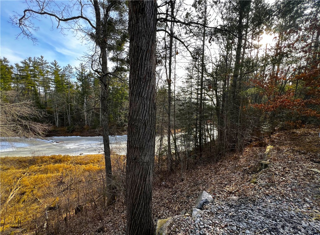 N5402 Thornapple Road