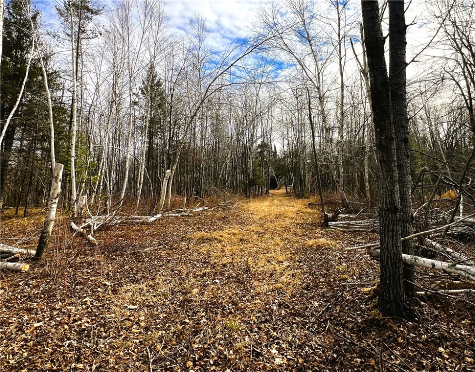 40 Acres N Irish Road