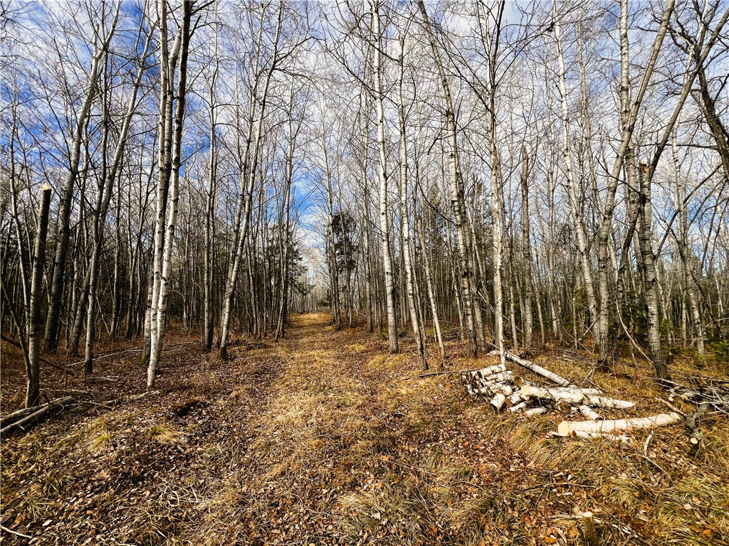 40 Acres N Irish Road