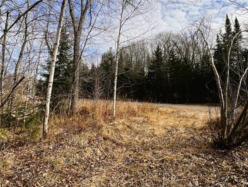 40 Acres N Irish Road