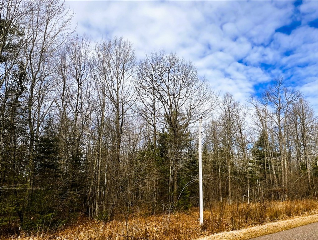 40 Acres N Irish Road