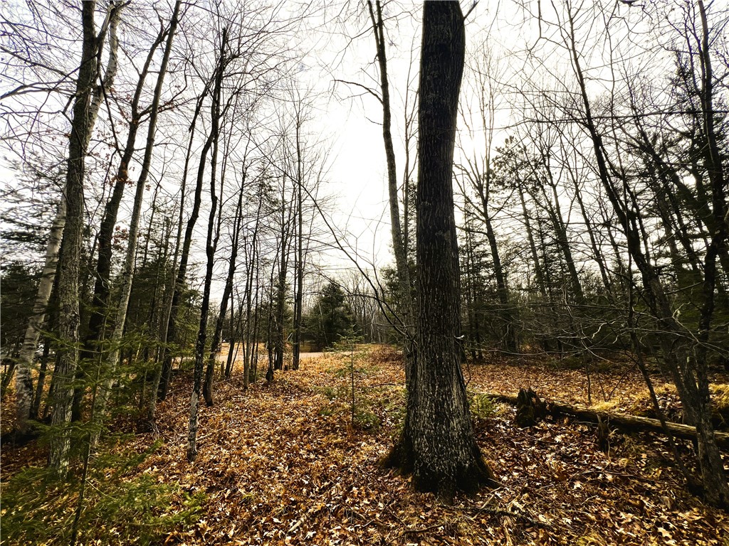 40 Acres N Irish Road