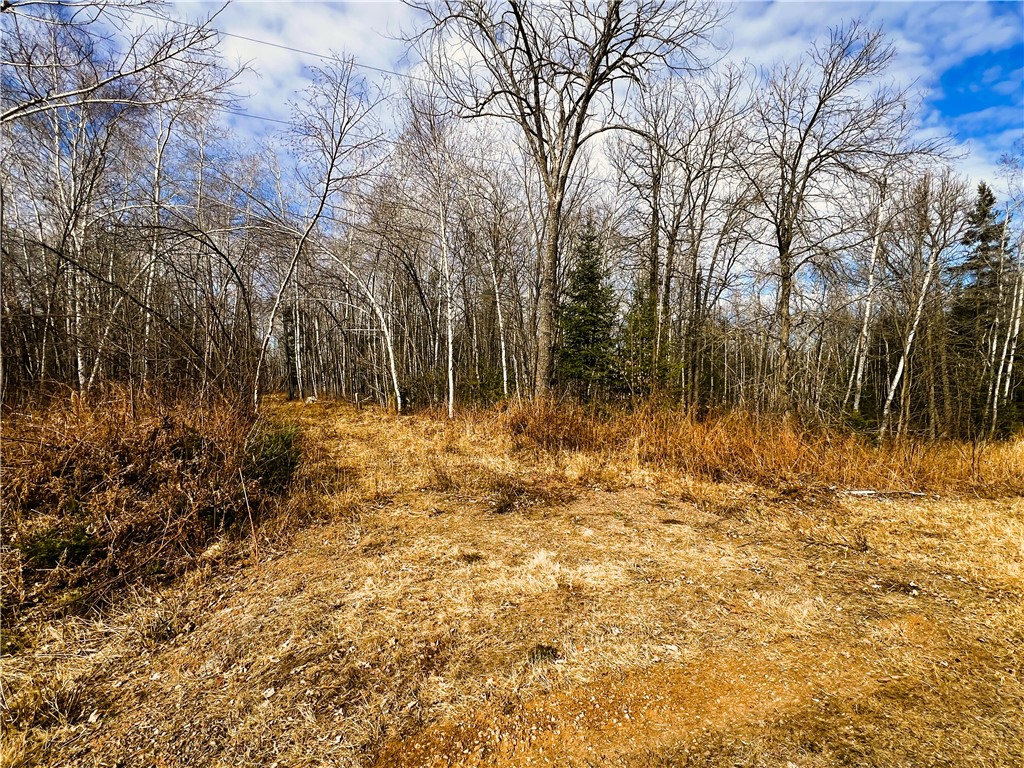 40 Acres N Irish Road