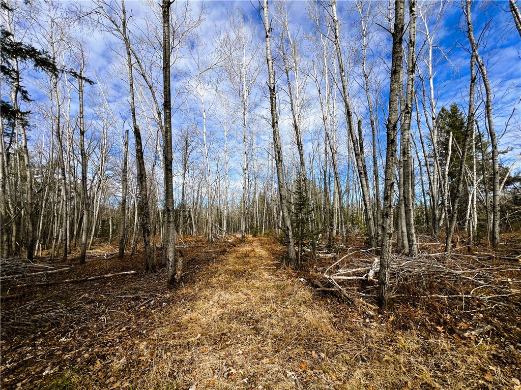 40 Acres N Irish Road