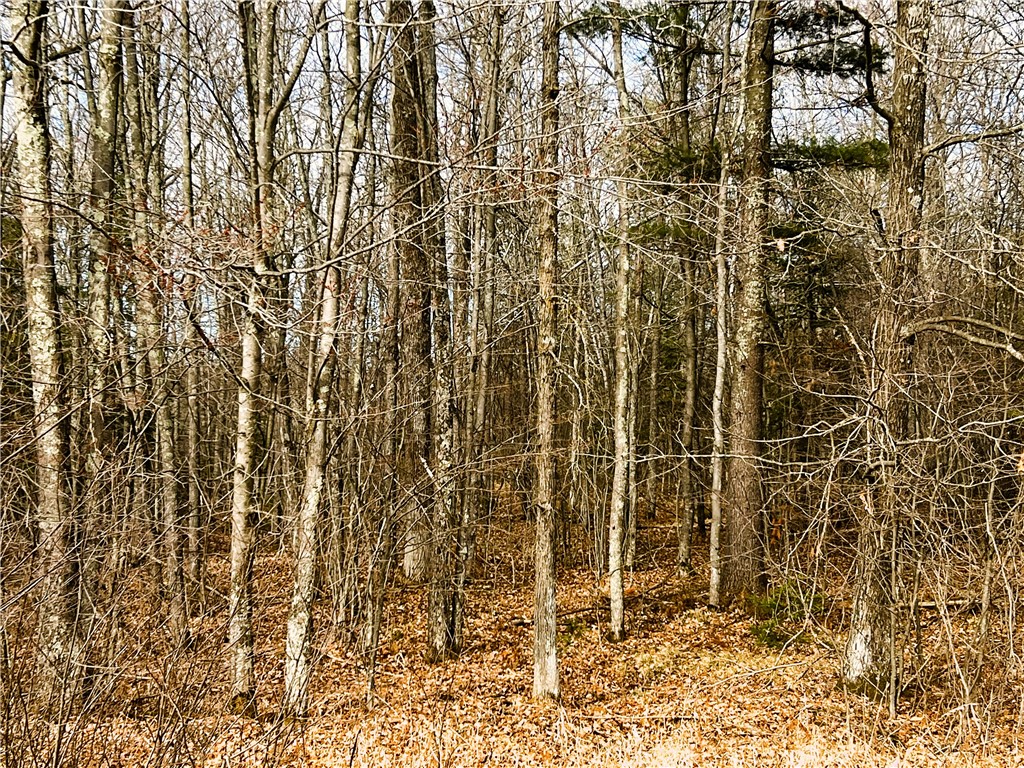 40 Acres N Irish Road