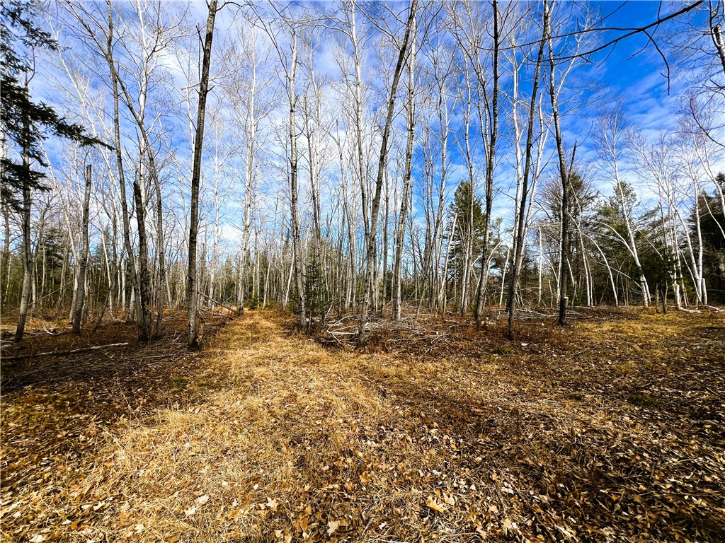 40 Acres N Irish Road