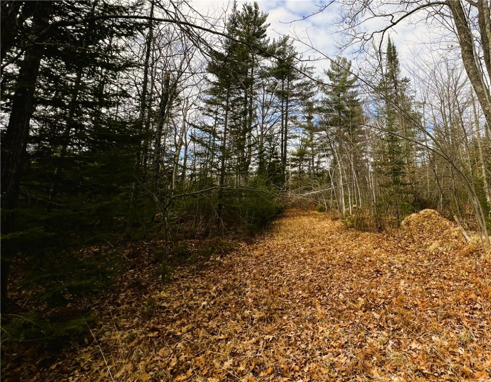 40 Acres N Irish Road