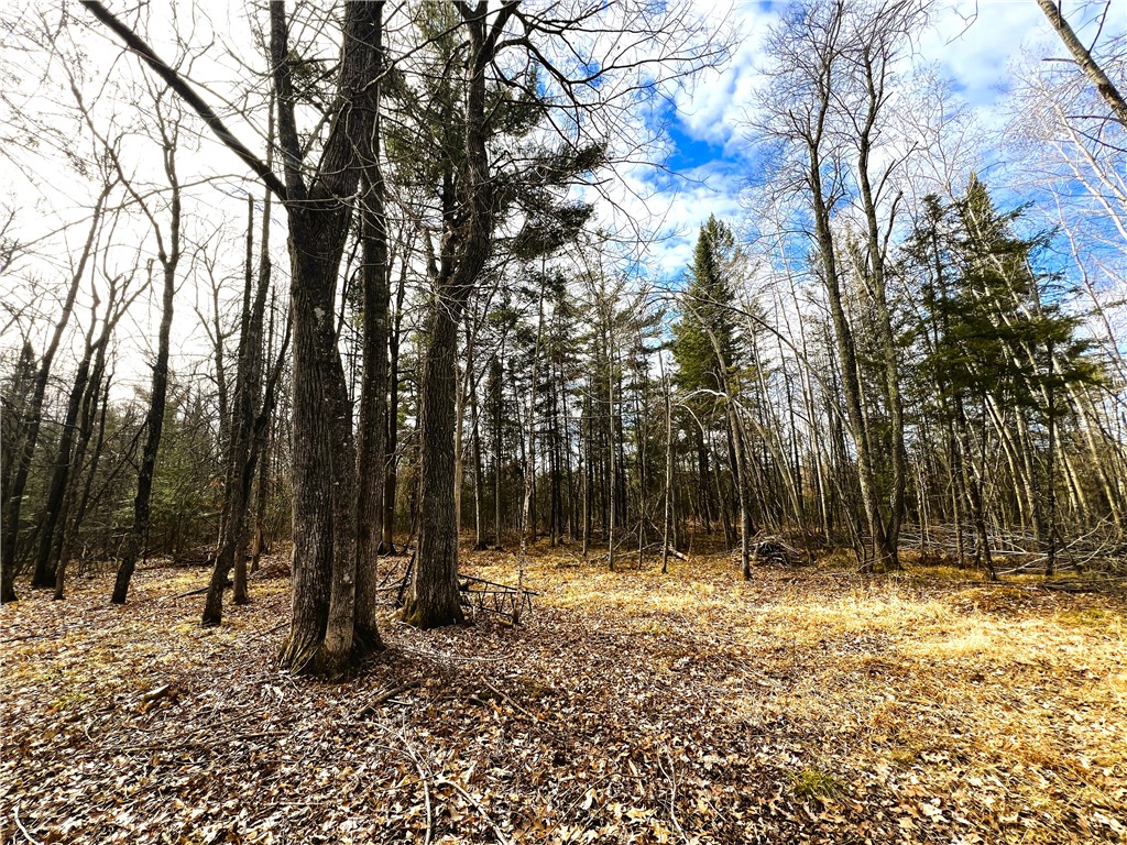 40 Acres N Irish Road