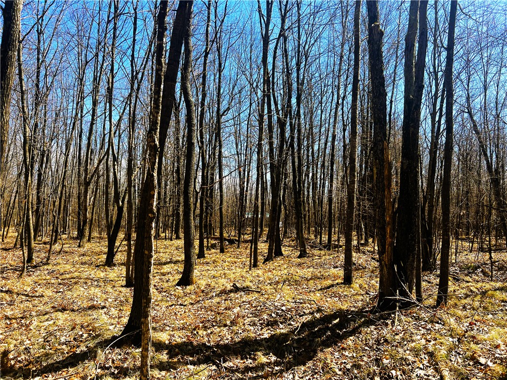 5 Acres on Broken Arrow Road