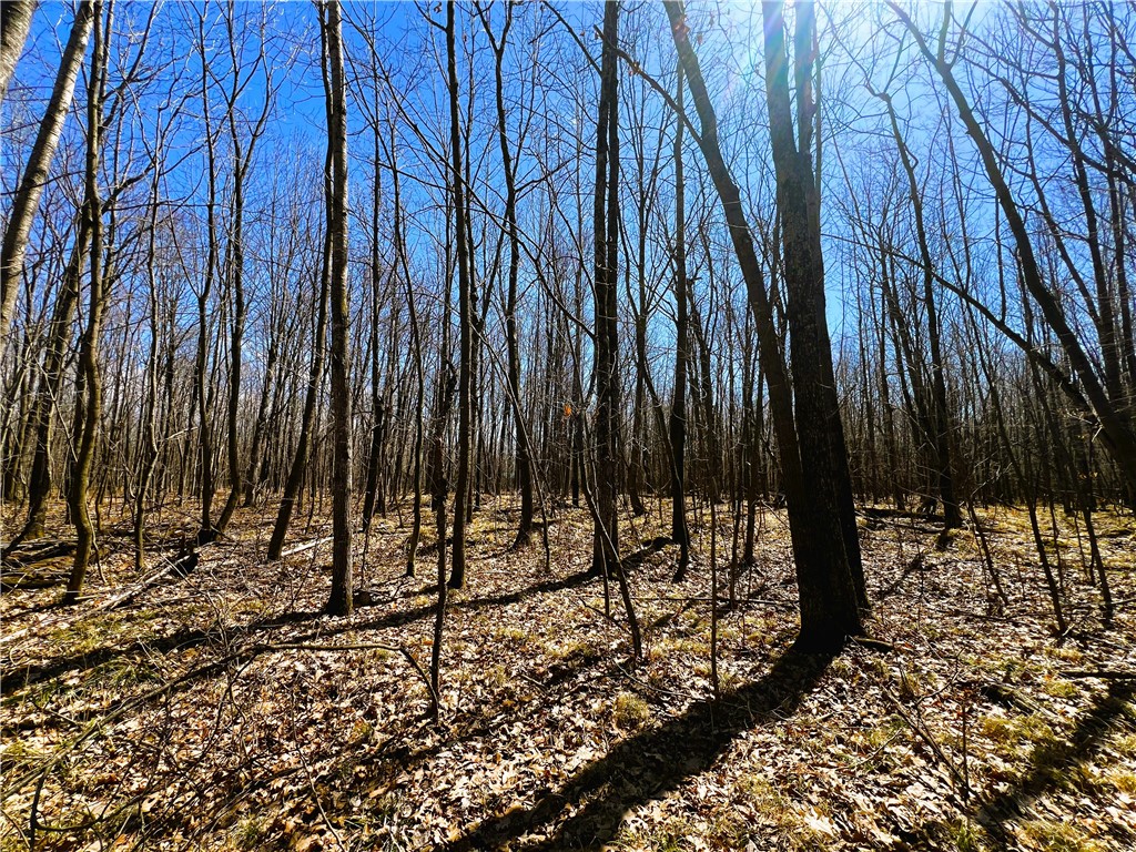 5 Acres on Broken Arrow Road
