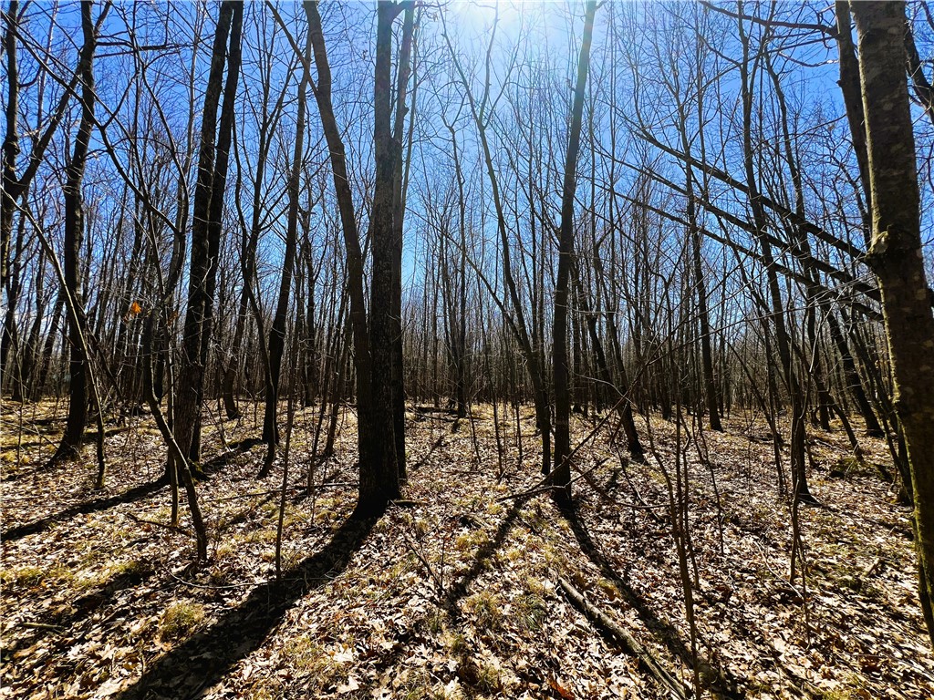 5 Acres on Broken Arrow Road
