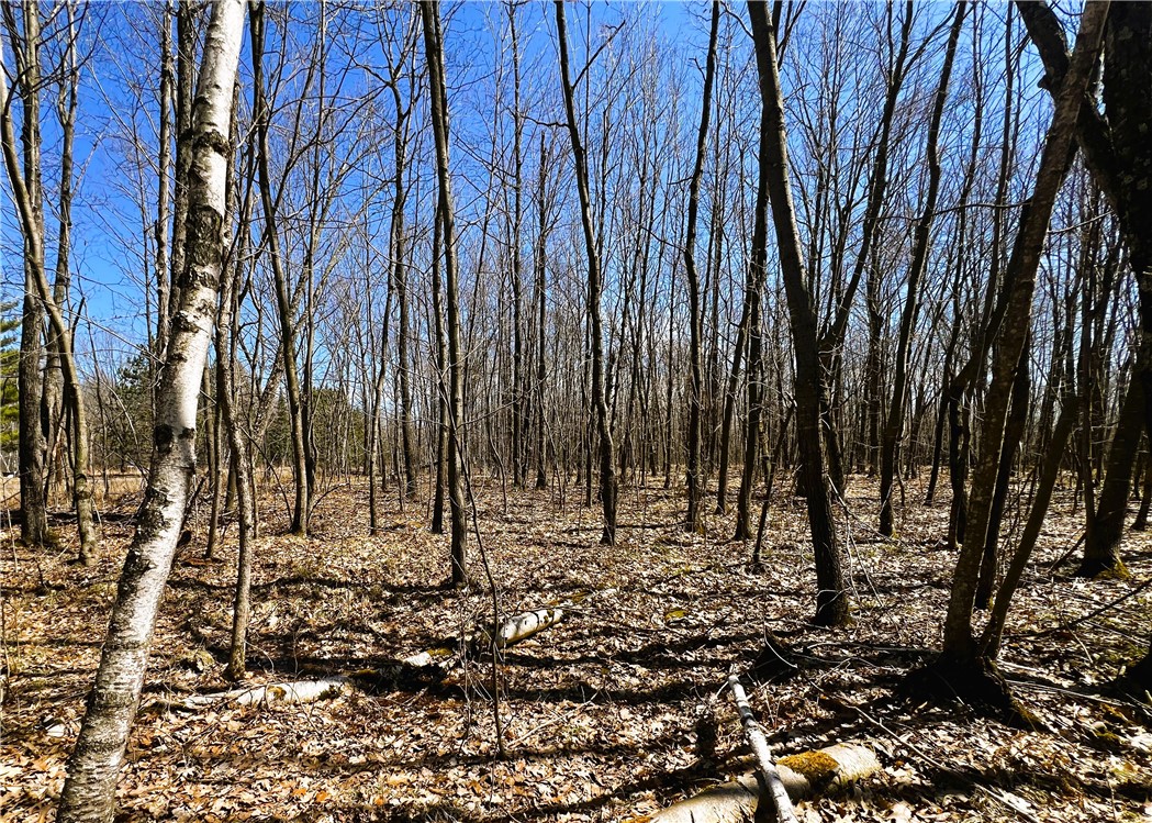 5 Acres on Broken Arrow Road