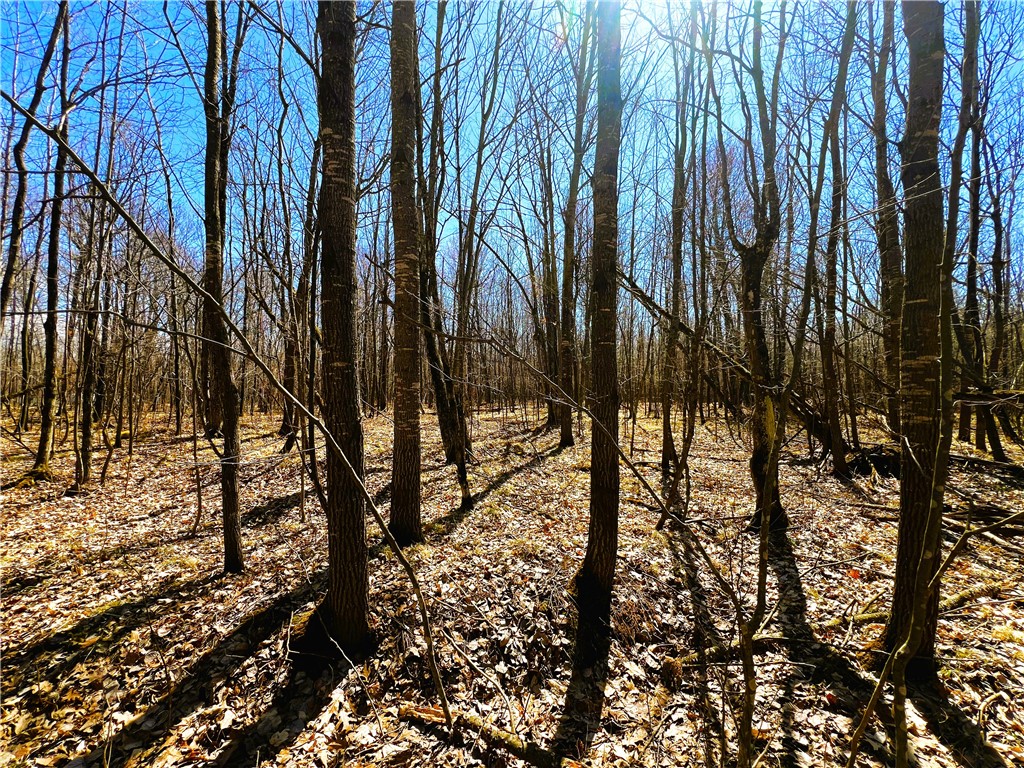 5 Acres on Broken Arrow Road