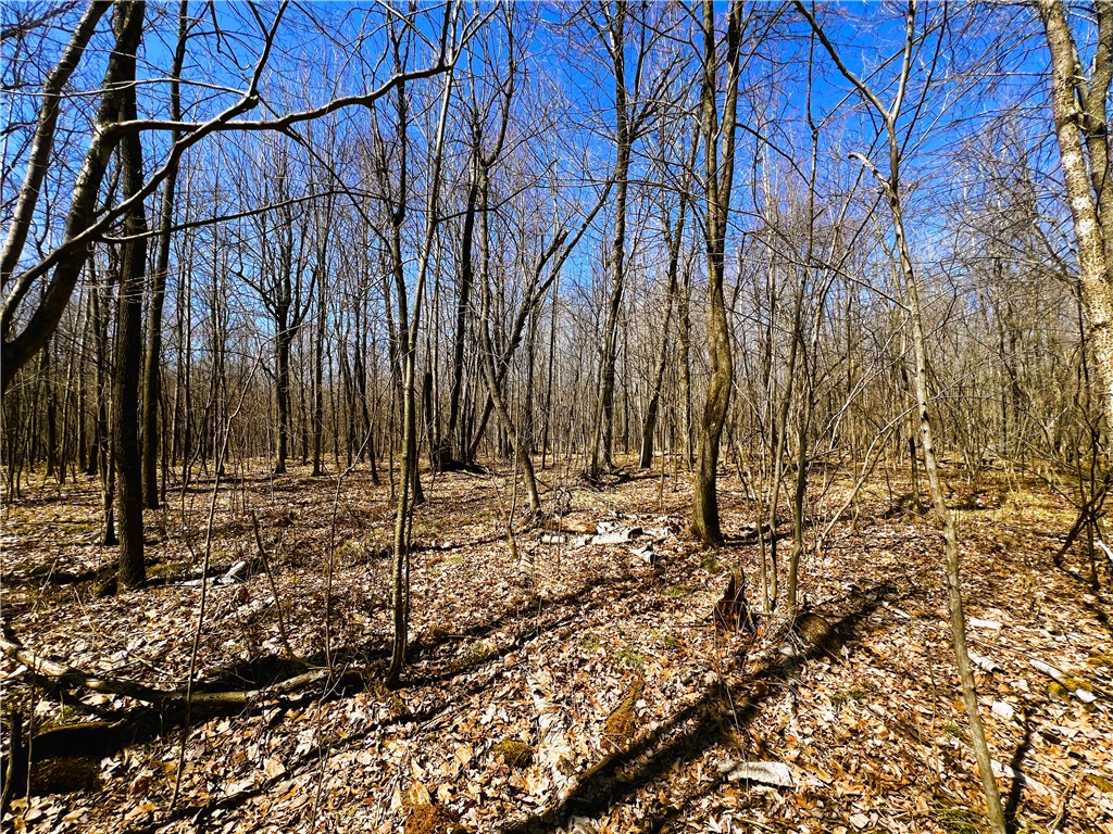 5 Acres on Broken Arrow Road