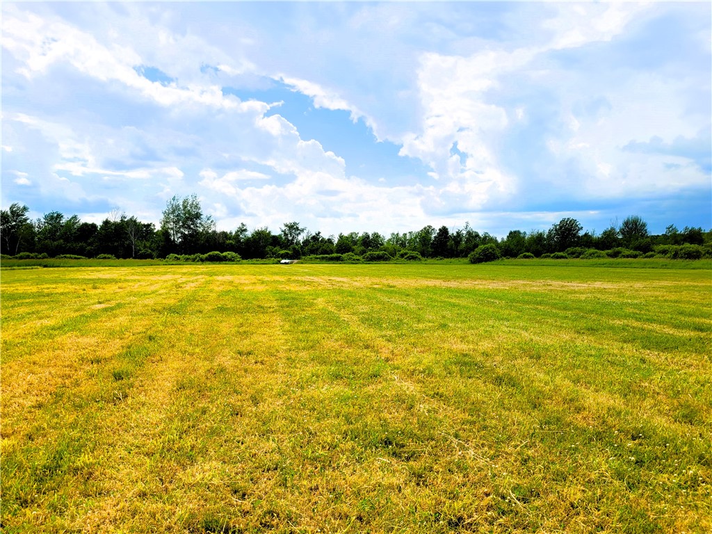 25 Acres on Progressive Road